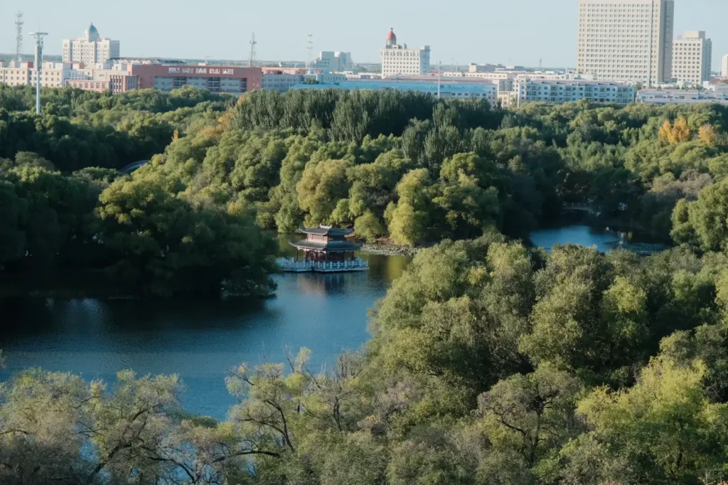 Qiqihar travel guide
Things to do in Qiqihar
Qiqihar itinerary
Zhalong Nature Reserve
Bukui Mosque
Longsha Park
