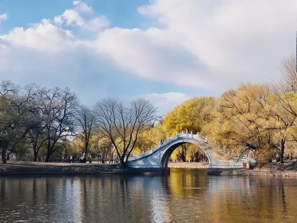 Qiqihar travel guide
Things to do in Qiqihar
Qiqihar itinerary
Zhalong Nature Reserve
Bukui Mosque
Longsha Park