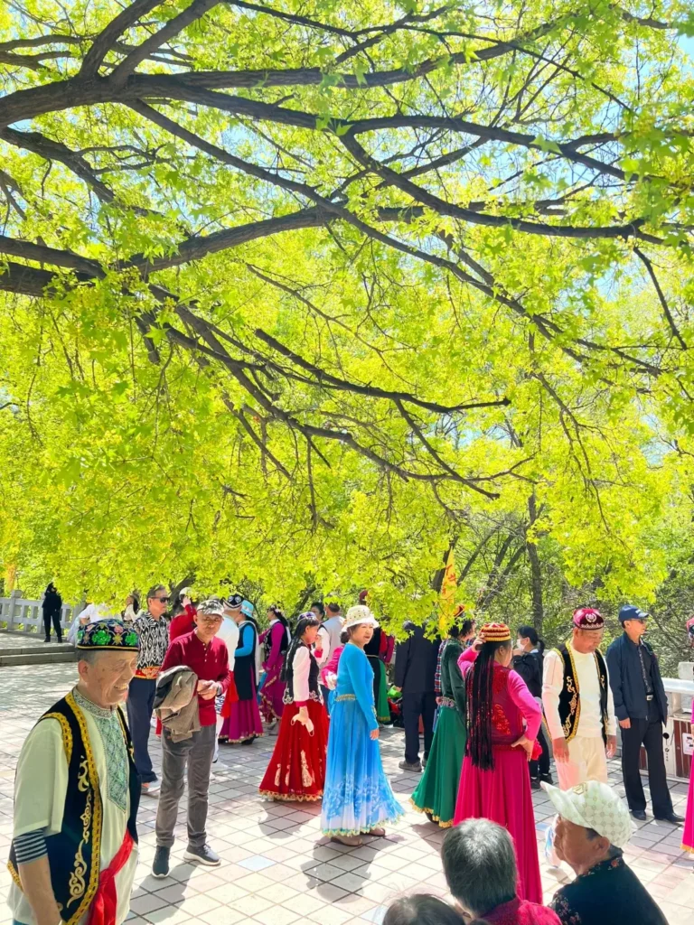 Tieling travel guide
Things to do in Tieling
Tieling attractions
Tieling itinerary
Xiangya Mountain
Diaobingshan Steam Locomotives
Northeast Folk Culture
